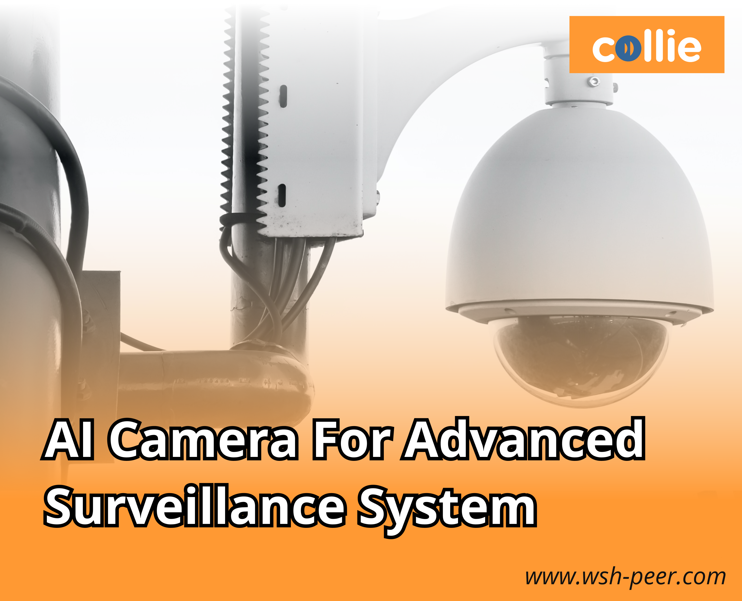 高度な監視システム用のAIカメラ