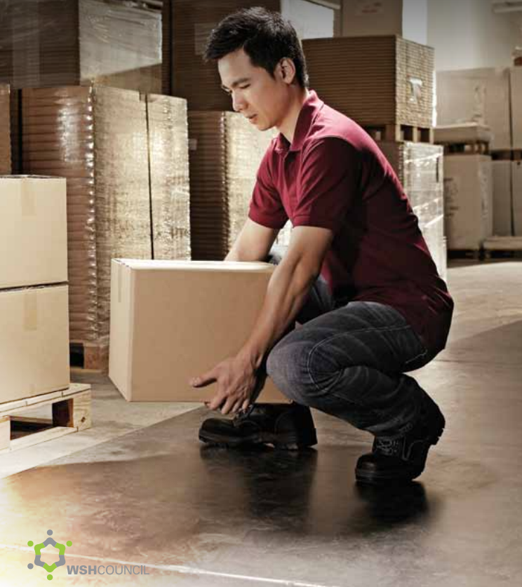 Guidelines on Improving Ergonomics in the Workplace