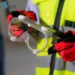 safety glasses