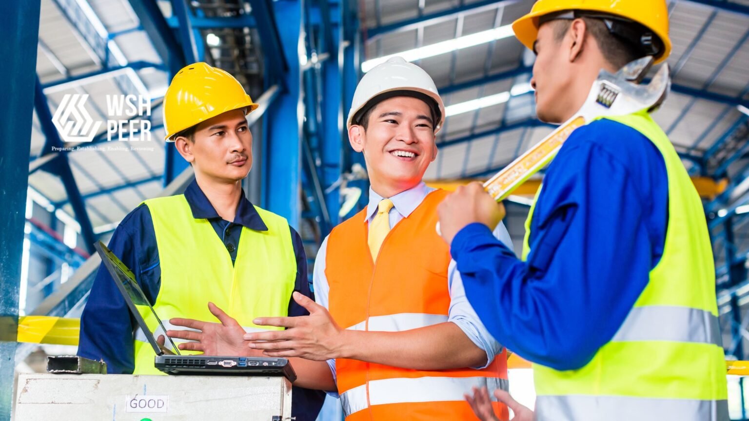 digital-safety-training-platform-peer digital safety training platform PEER