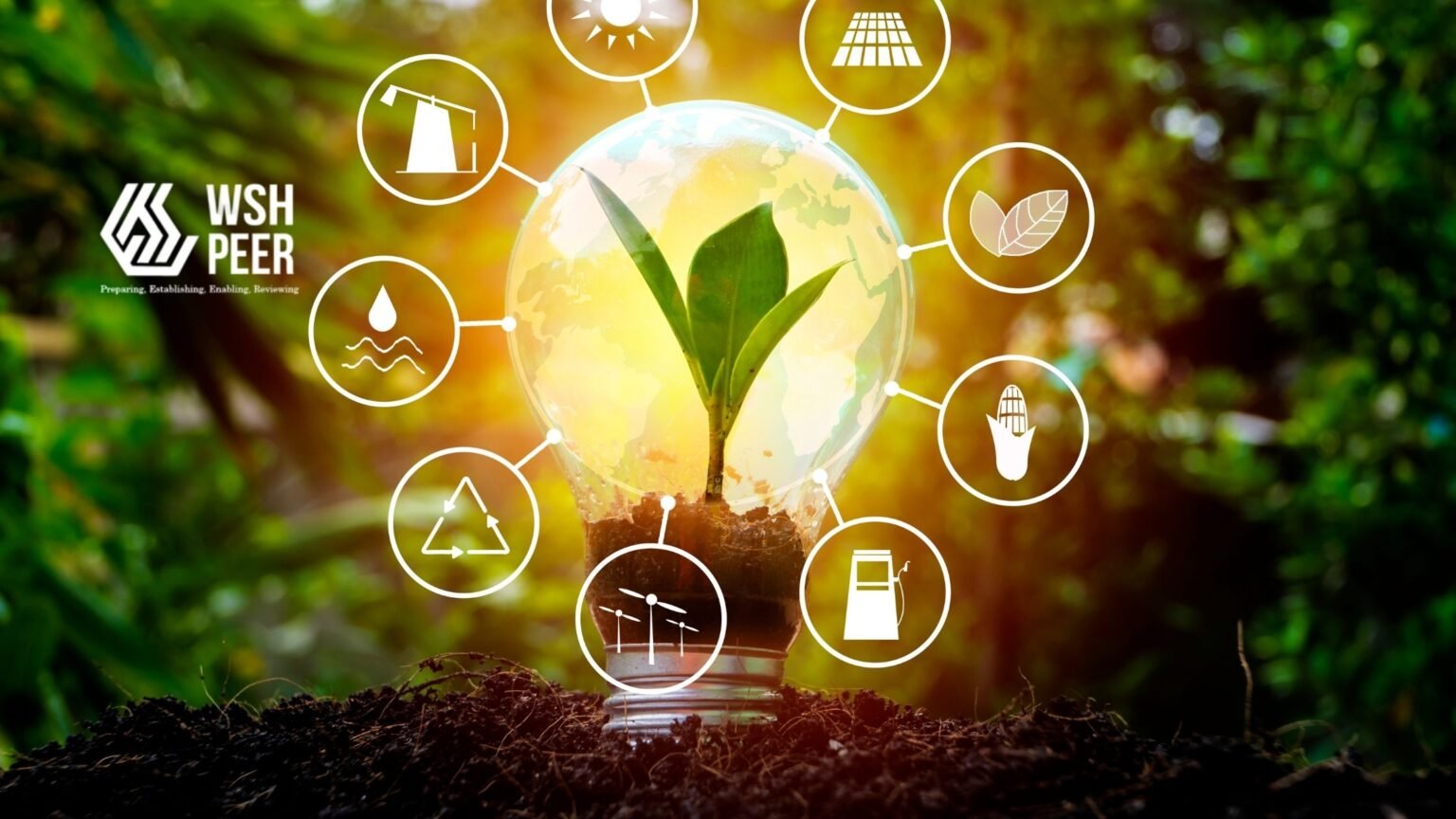 Emerging-Risks-in-Renewable-Energy-Peer Emerging Risks in Renewable Energy Peer
