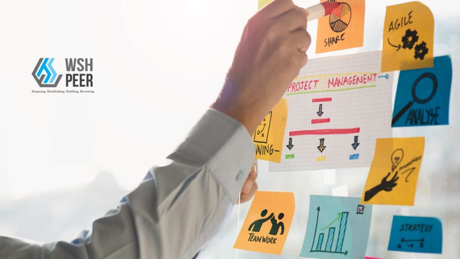Strategic-Management-Tools-PEER Strategic Management Tools Peer